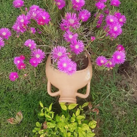 Oezbek